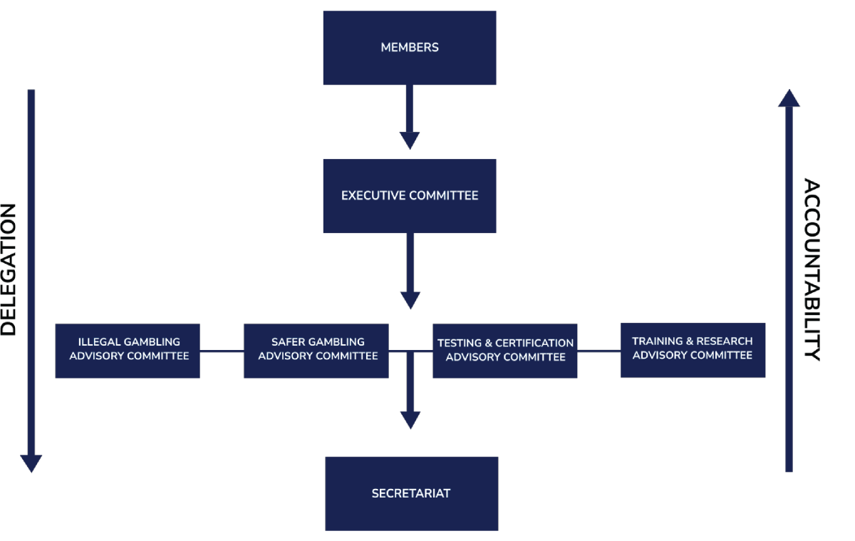 ORGANIZATIONAL STRUCTURE DIAGRAM-01